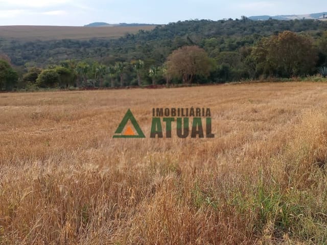 Sítio com 100000m², à venda, no bairro Guaravera em Londrina