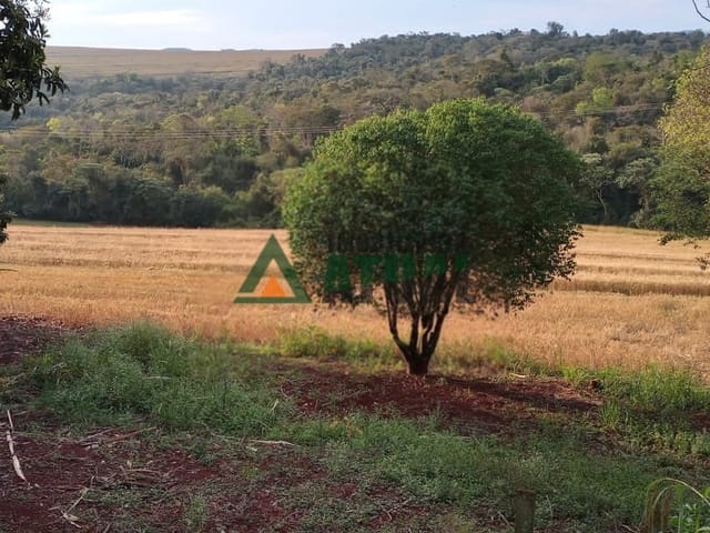 Sítio com 100000m², à venda, no bairro Guaravera em Londrina