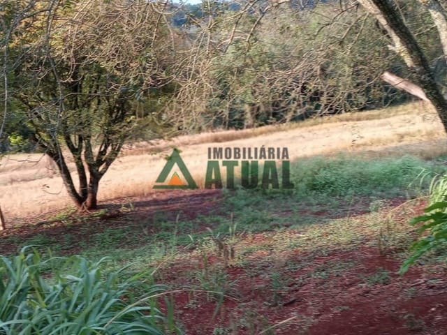 Sítio com 100000m², à venda, no bairro Guaravera em Londrina