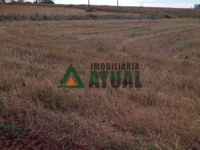 Sítio com 100000m², à venda, no bairro Guaravera em Londrina