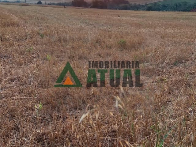 Sítio com 100000m², à venda, no bairro Guaravera em Londrina