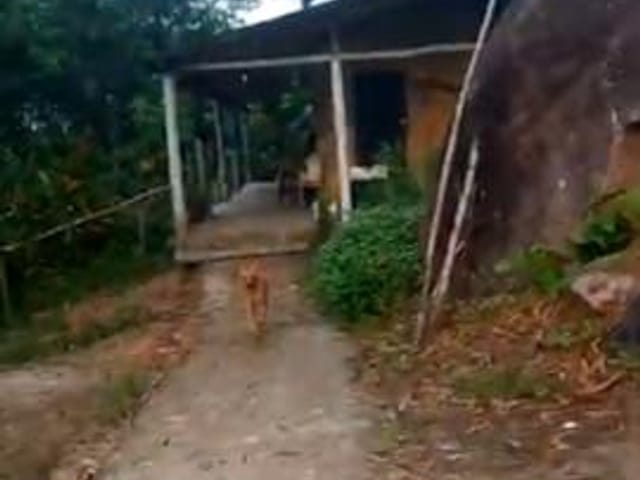 Sítio com 1200m² 2 quartos e 2 banheiros, à venda, no bairro Zona Rural. em Juquiá