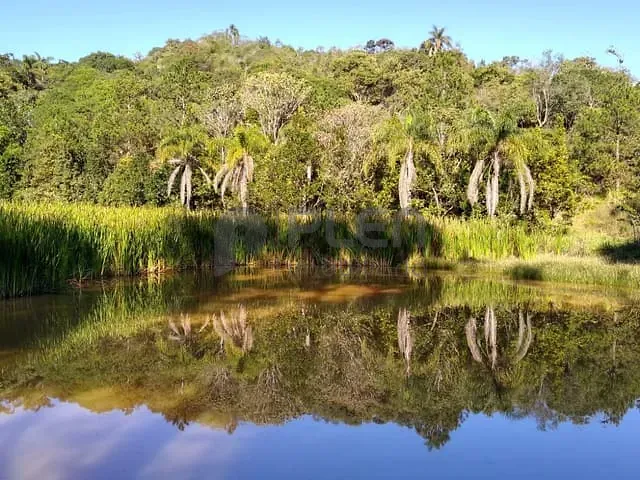Sítio 6 quartos e 6 banheiros, à venda, no bairro Caetetuba em Atibaia