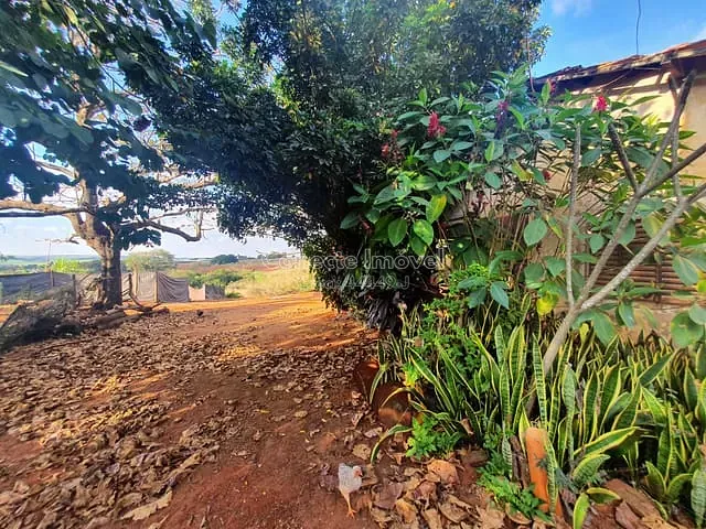 Sítio com 28000m² 3 quartos e 3 banheiros, à venda, no bairro Área Rural de Artur Nogueira em Artur Nogueira