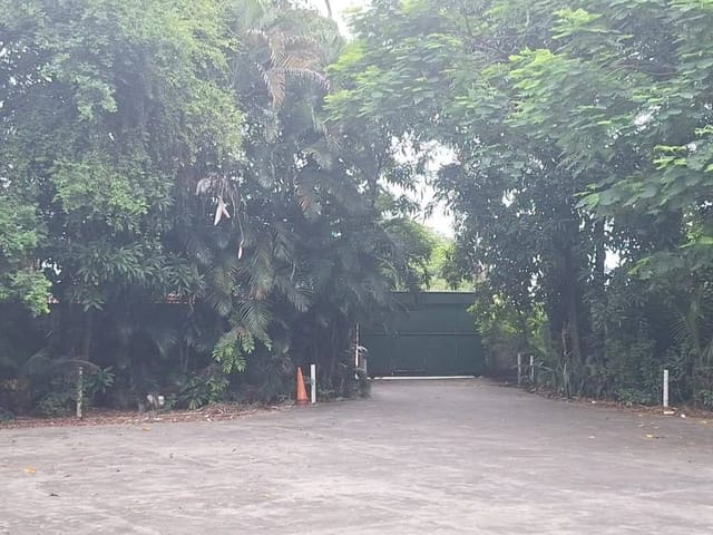 Sítio com 4817m² 4 quartos e 2 banheiros, à venda ou para alugar, no bairro Campo Grande em Rio de Janeiro