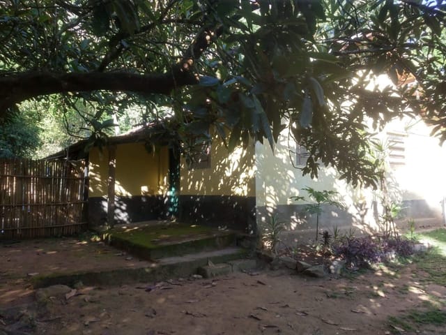 Sítio com 1m², à venda, no bairro Simão Pereira em Simão Pereira