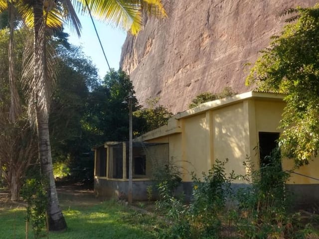 Sítio com 1m², à venda, no bairro Simão Pereira em Simão Pereira