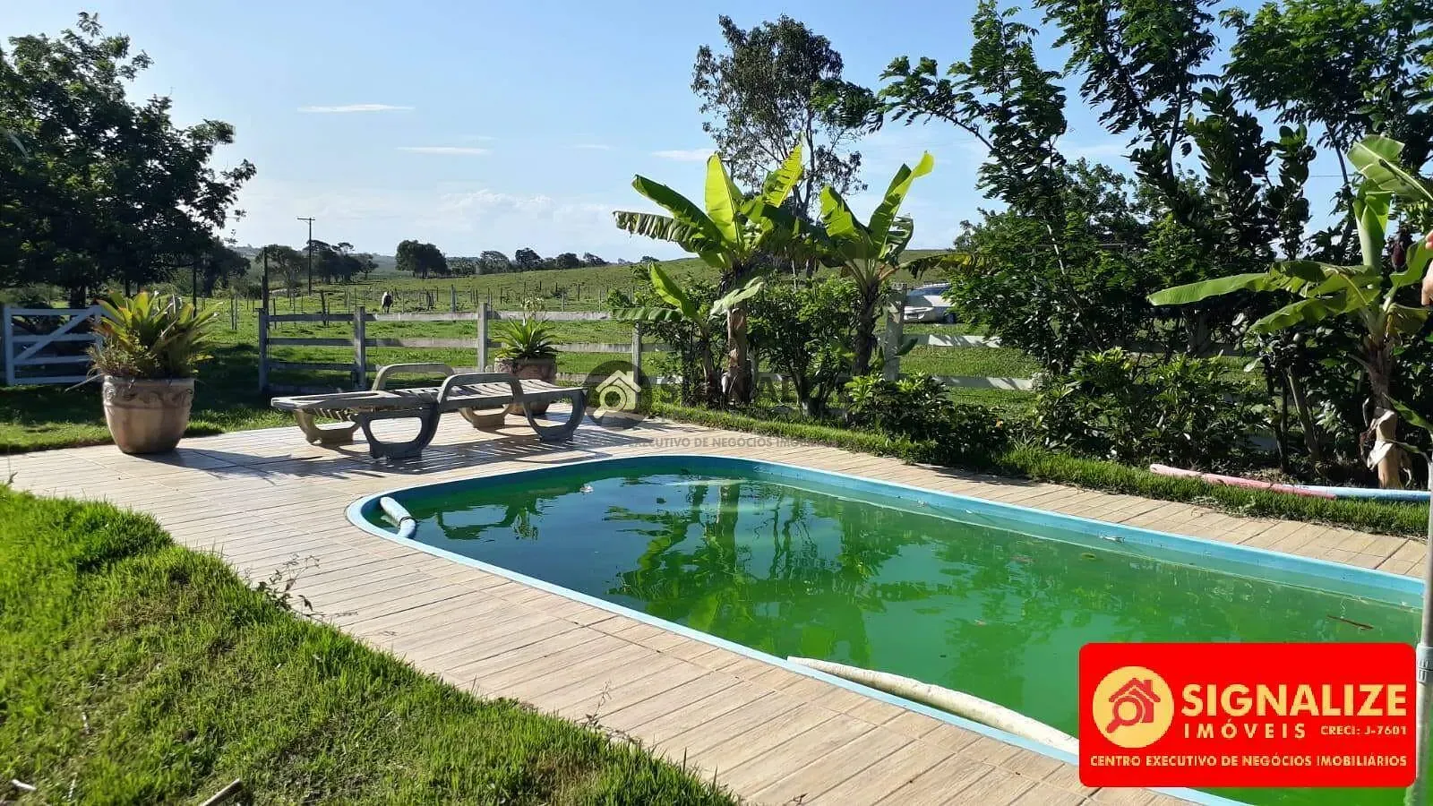 Fazenda, 7800 m² - Foto 2