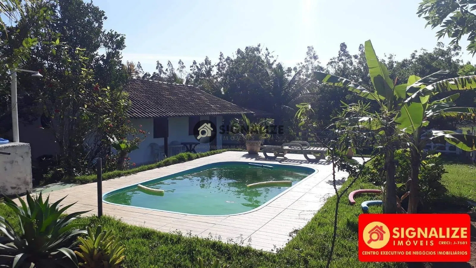 Fazenda, 7800 m² - Foto 4
