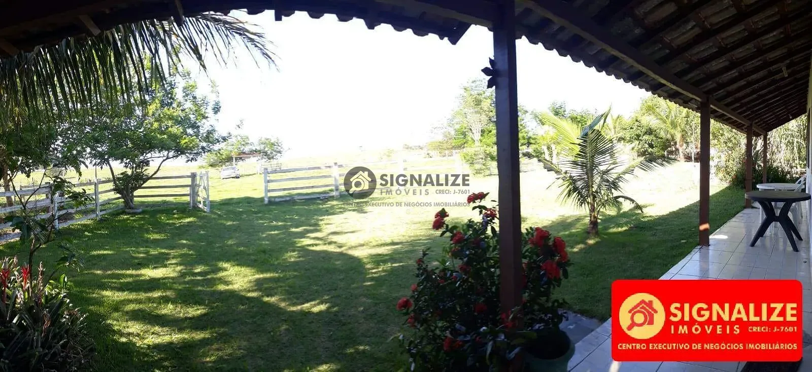 Fazenda, 7800 m² - Foto 7