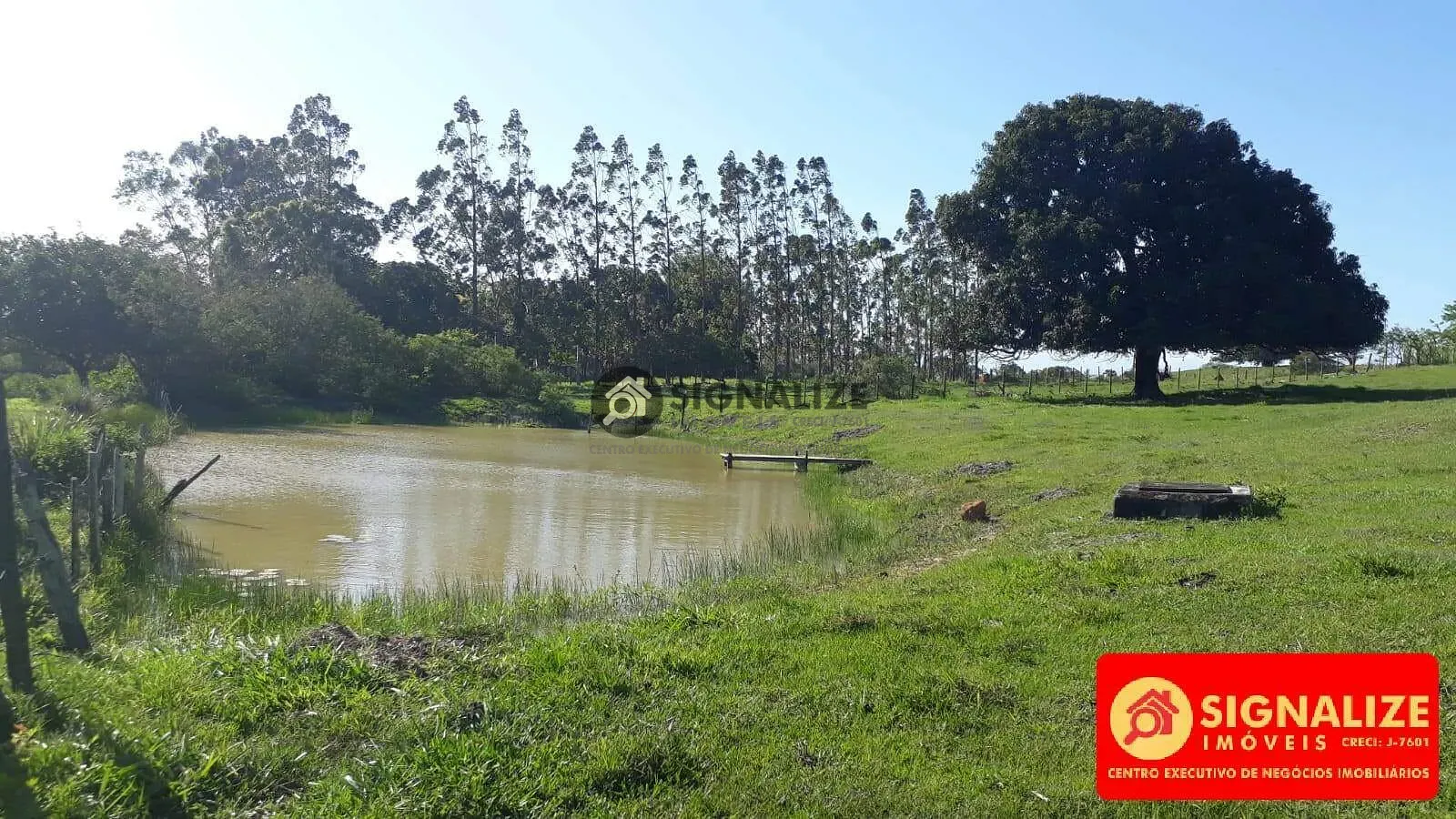 Fazenda, 7800 m² - Foto 8