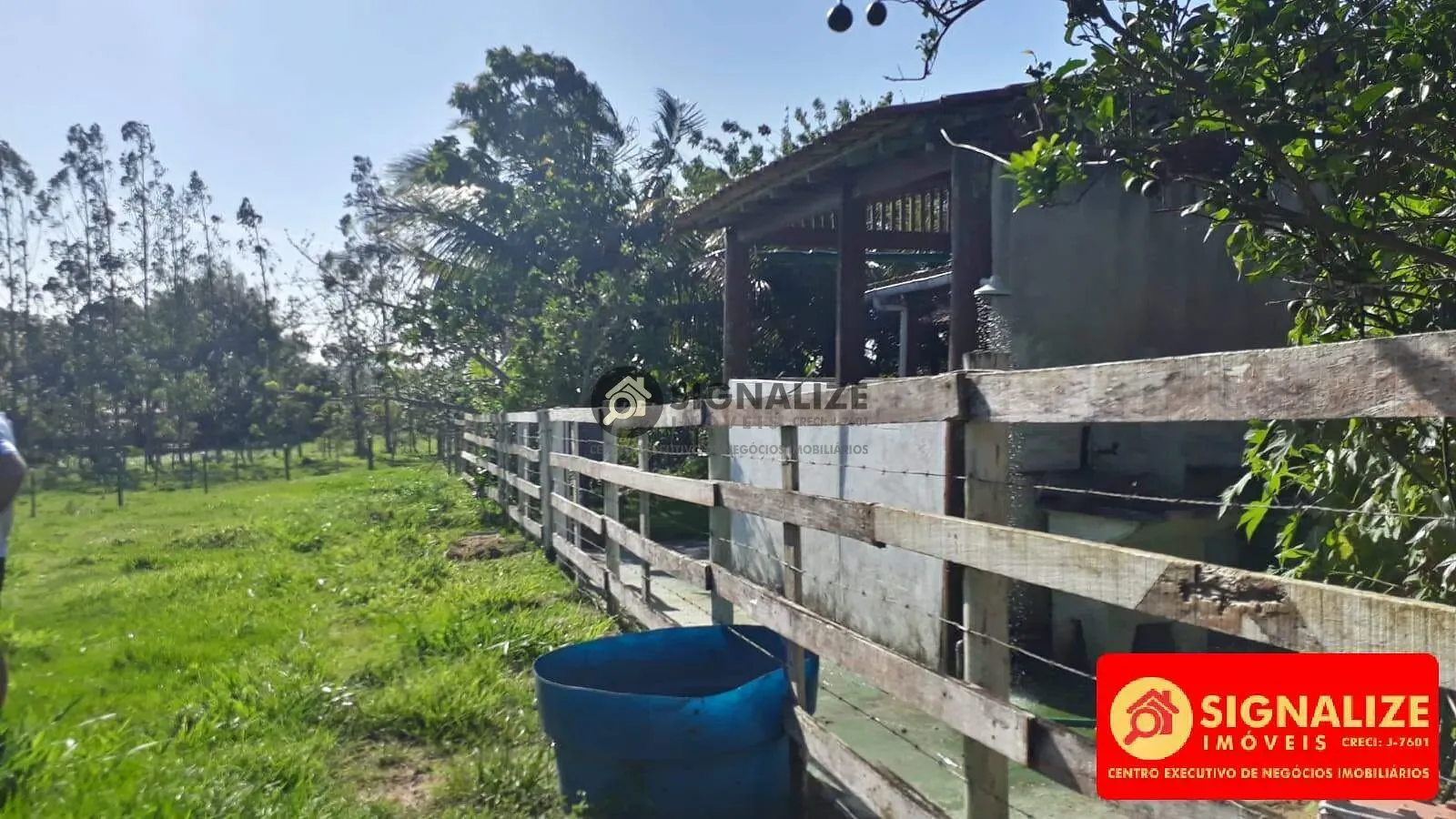 Fazenda, 7800 m² - Foto 9