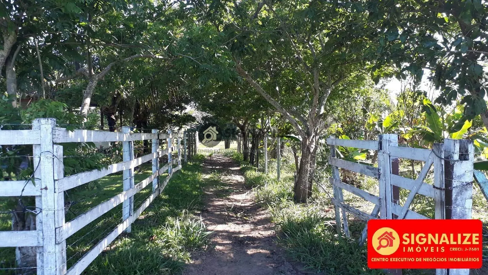 Fazenda, 7800 m² - Foto 10