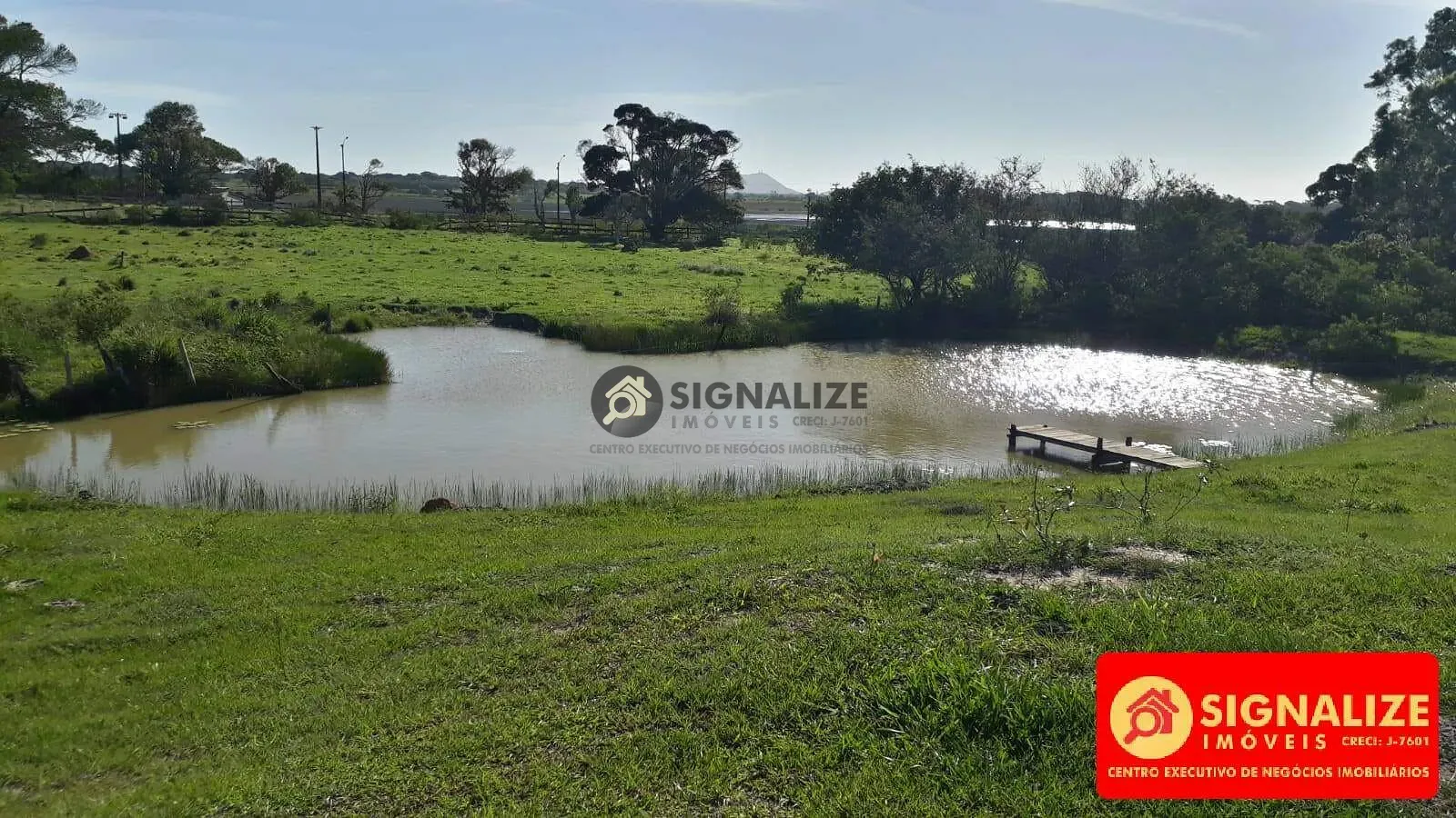 Fazenda, 7800 m² - Foto 13