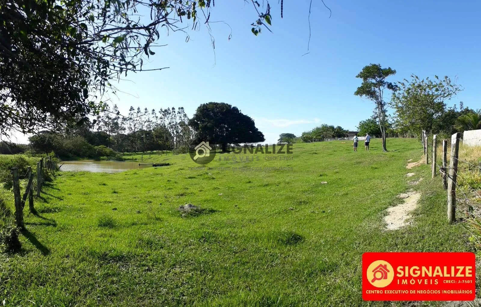 Fazenda, 7800 m² - Foto 14