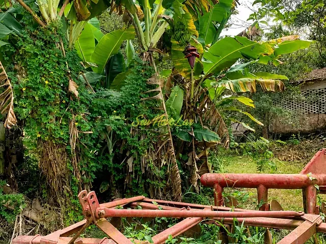 Terreno com 22000m², à venda, no bairro Tijuco das Telhas em Campinas