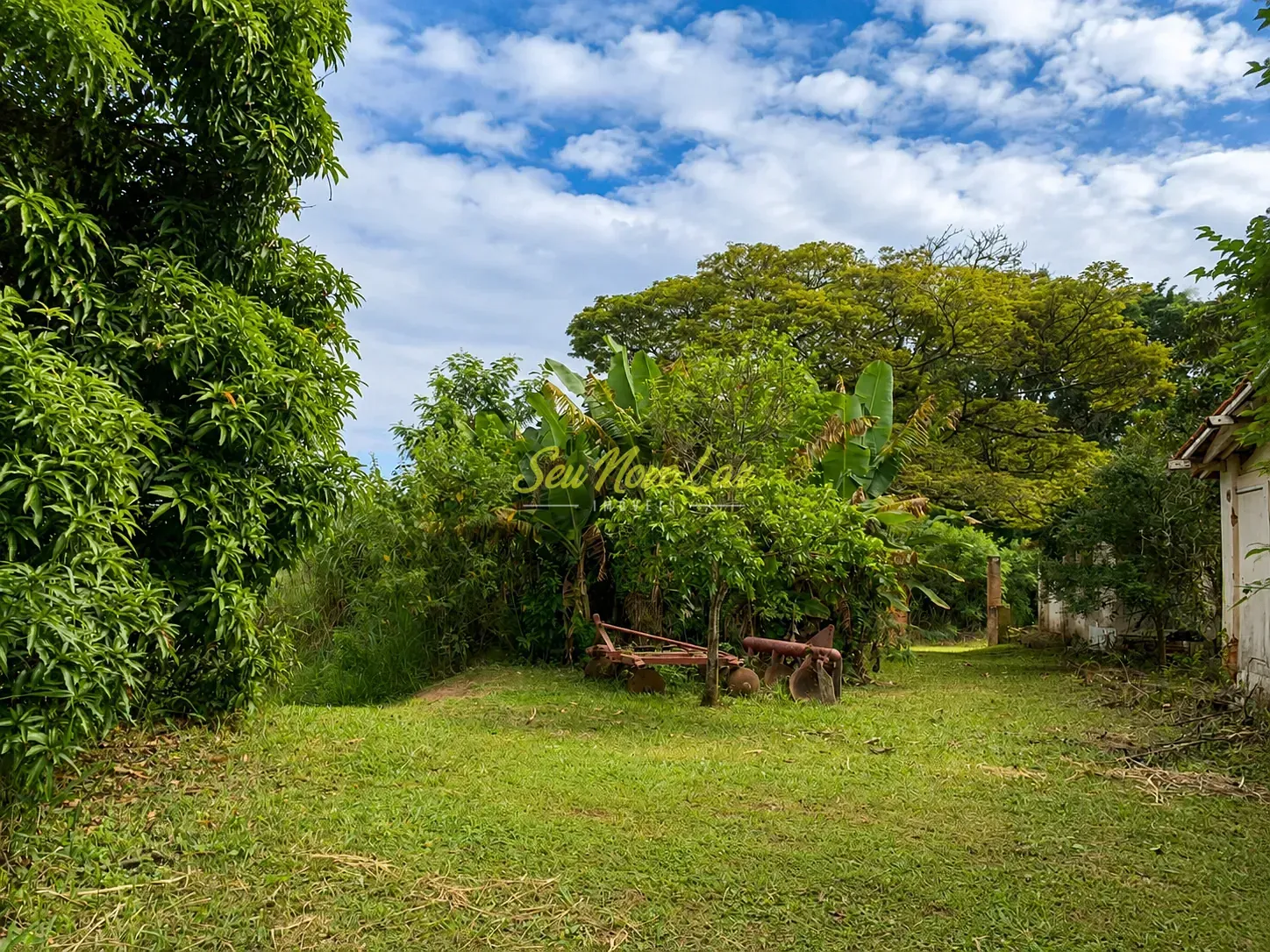 Terreno, 2 hectares - Foto 10