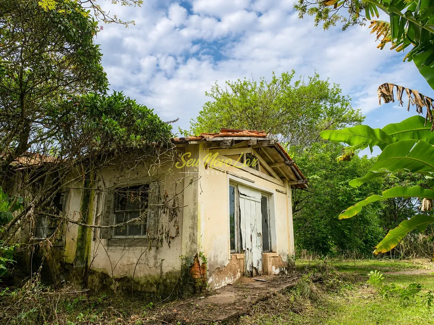 Terreno, 2 hectares - Foto 6