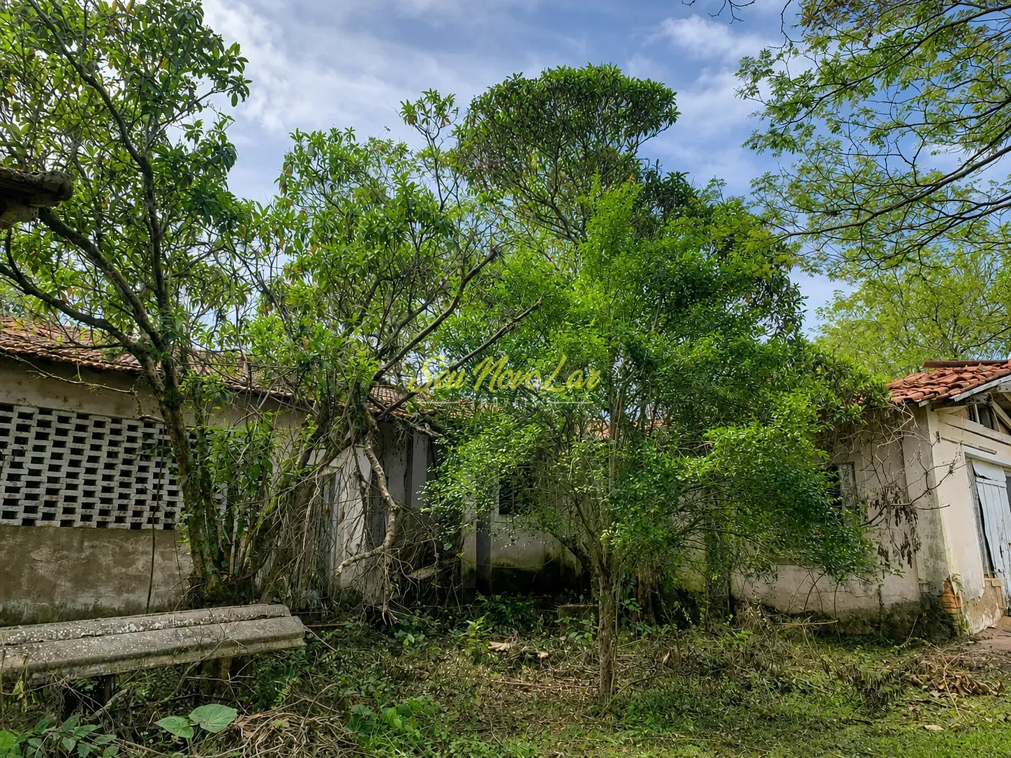 Terreno, 2 hectares - Foto 2