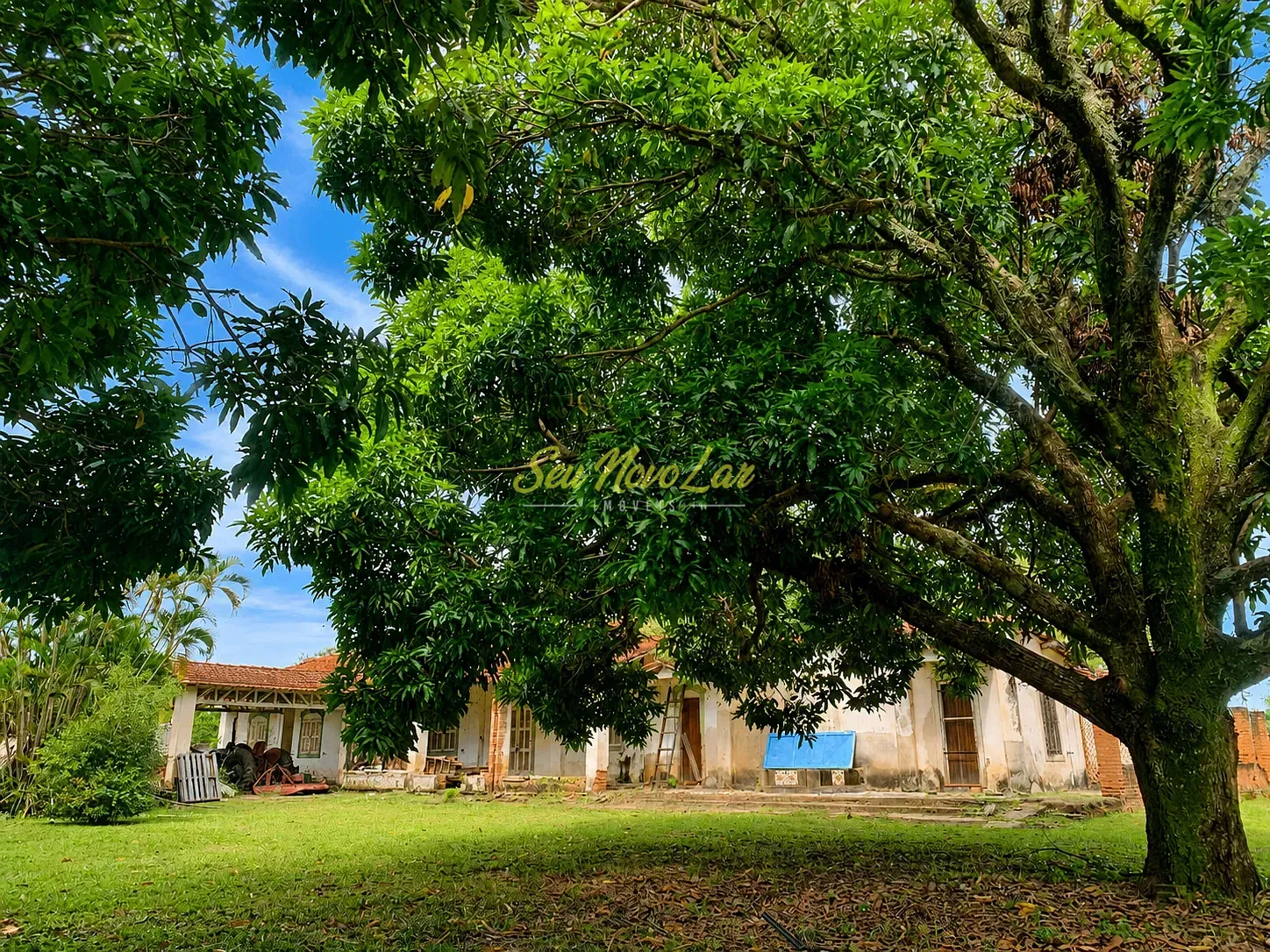 Terreno, 2 hectares - Foto 4