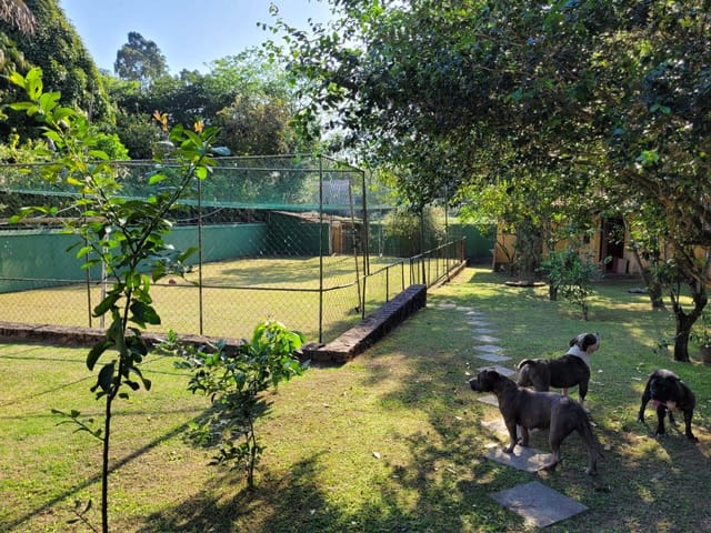 Casa 5 quartos e 6 banheiros, à venda, no bairro Campo Grande em Rio de Janeiro