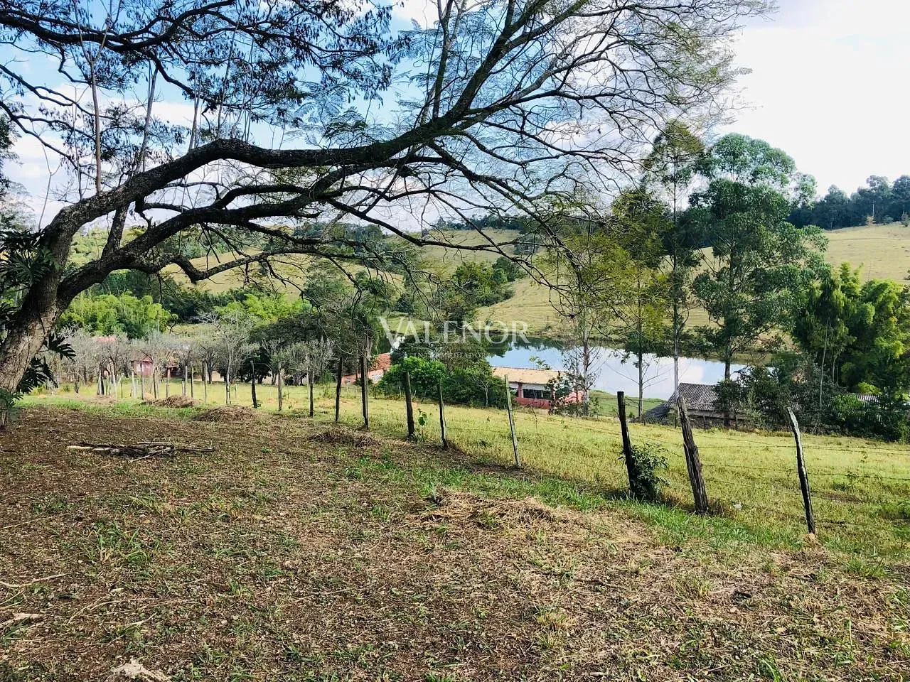 Fazenda, 51 hectares - Foto 6