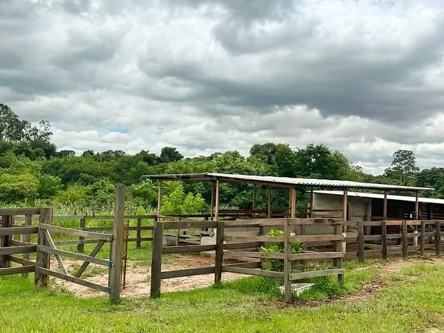 Sítio com 217800m² 3 quartos e 2 banheiros, à venda, no bairro Jardim Rio Claro em Rio Claro