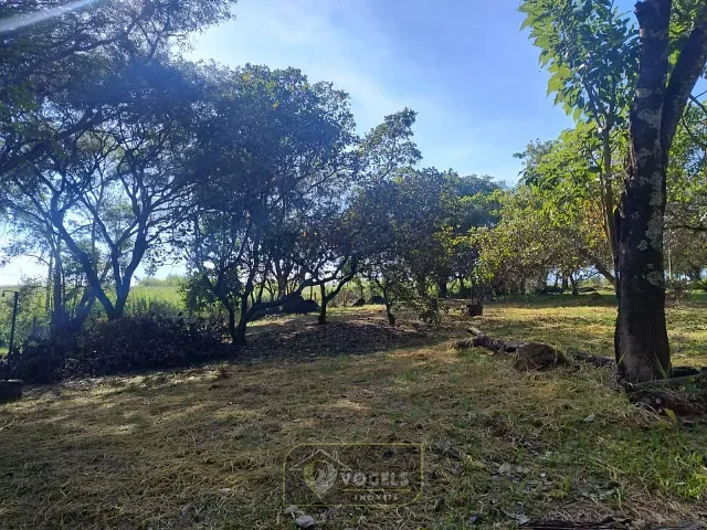 Sítio com 23181m² 3 quartos e 2 banheiros, à venda, no bairro Chácara Recreio Floresta em Jaguariúna