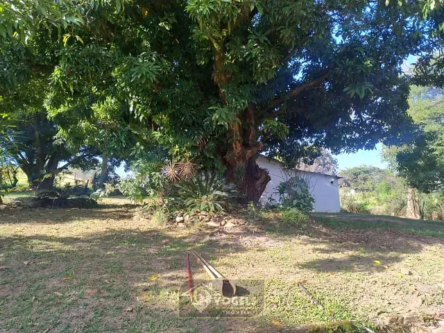 Sítio com 23181m² 3 quartos e 2 banheiros, à venda, no bairro Chácara Recreio Floresta em Jaguariúna