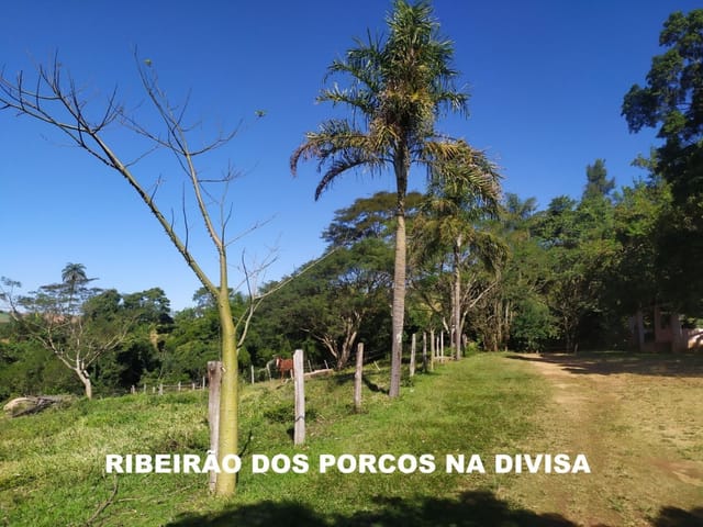Sítio com 96800m² 2 quartos e 3 banheiros, à venda, no bairro Área Rural de São João da Boa Vista em São João da Boa Vista