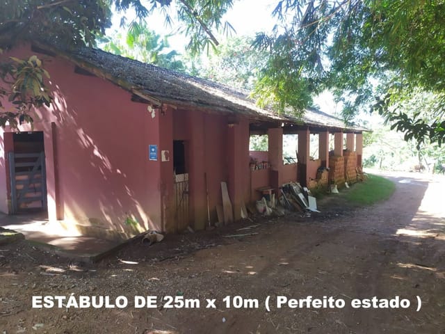 Sítio com 96800m² 2 quartos e 3 banheiros, à venda, no bairro Área Rural de São João da Boa Vista em São João da Boa Vista