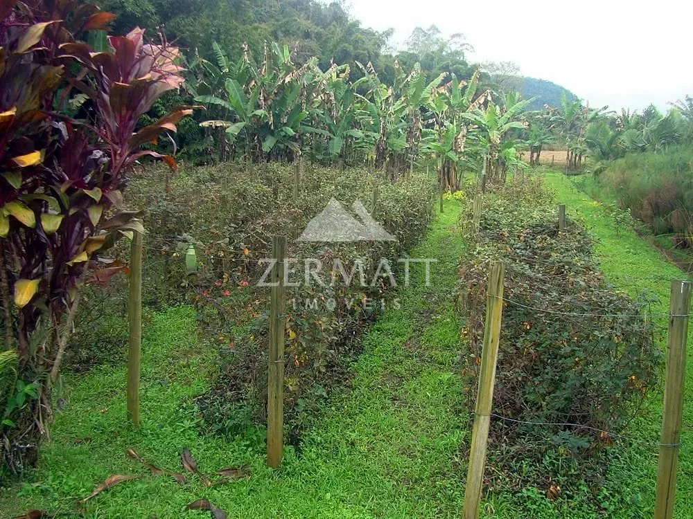 Sítio com 5 dormitórios à venda, 49300 m por R$ 2.500.000,00 - São Pedro Novo - Rodeio/SC — foto 3