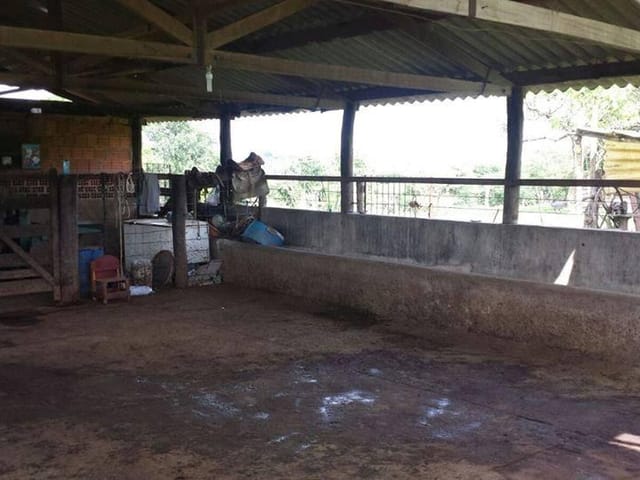 Foto do Sítio - Sítio rural à venda, Vila Arquelau, Uberaba. | ZUCATO IMOBILIARIA LTDA