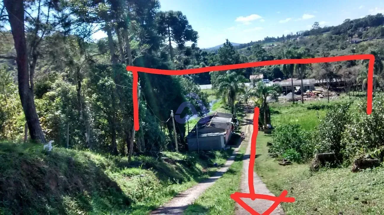 Sítio, 4 quartos, 1200 m² - Foto 4