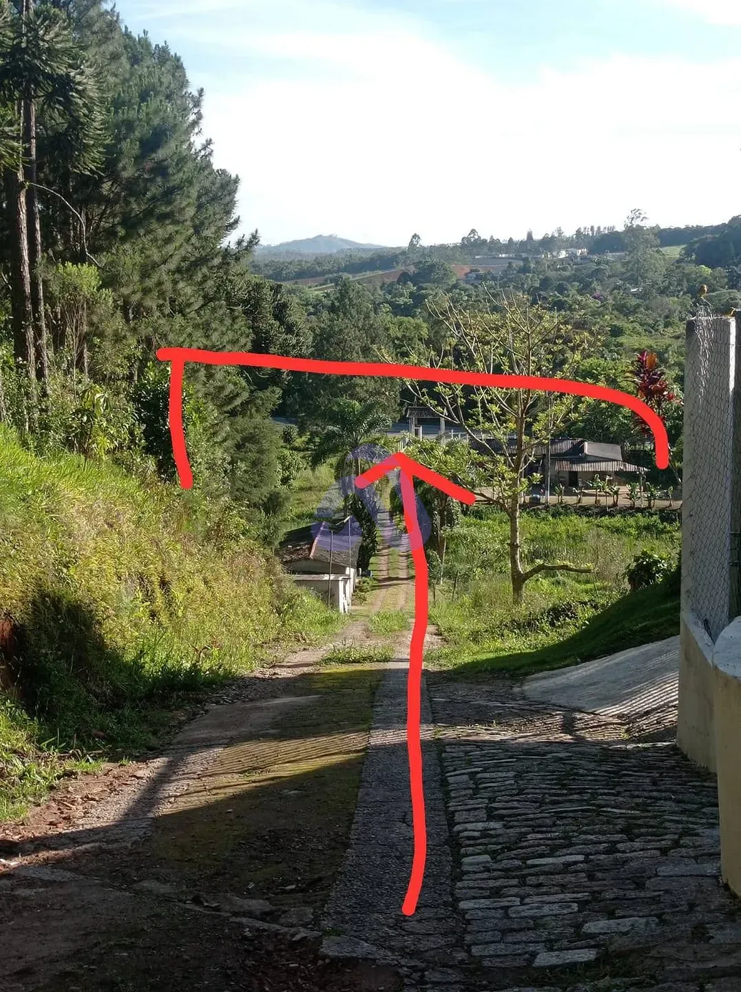 Sítio, 4 quartos, 1200 m² - Foto 3