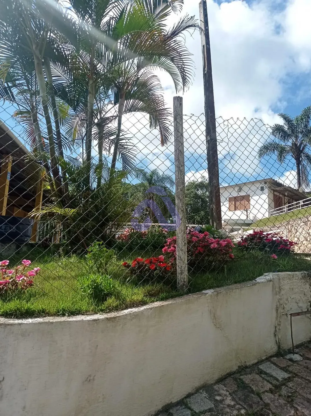 Sítio, 4 quartos, 1200 m² - Foto 6