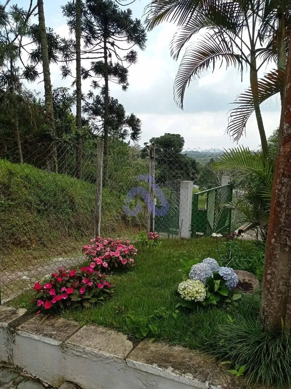 Sítio, 4 quartos, 1200 m² - Foto 2