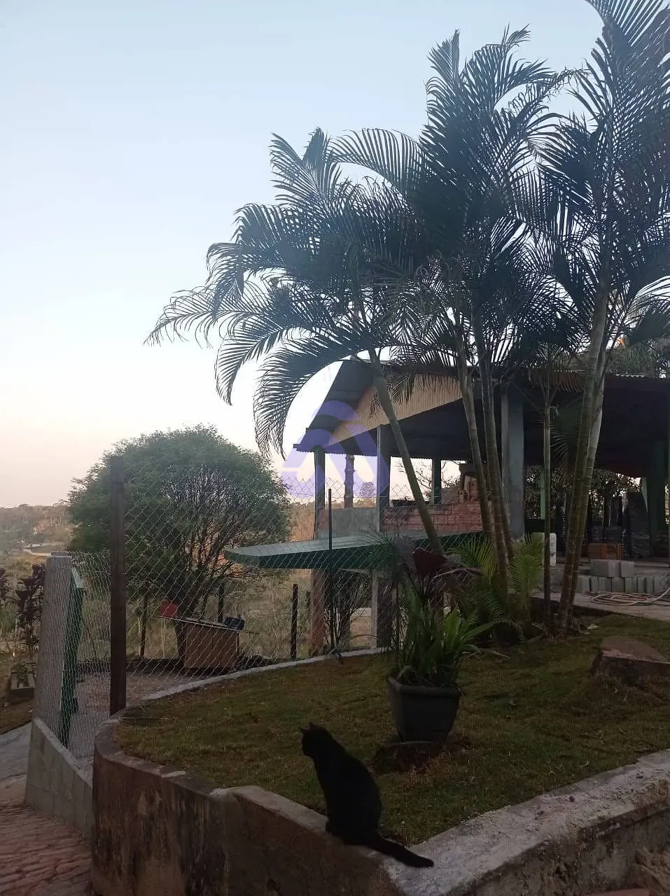 Sítio, 4 quartos, 1200 m² - Foto 13