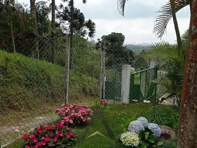 Sítio com 1200m² 4 quartos e 2 banheiros, à venda, no bairro Mogi Bertioga em Mogi das Cruzes