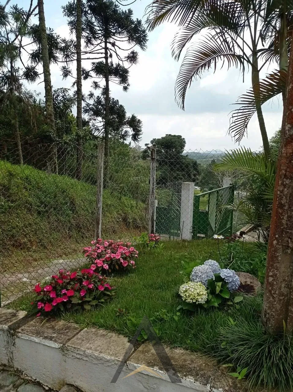 Sítio, 4 quartos, 1200 m² - Foto 2