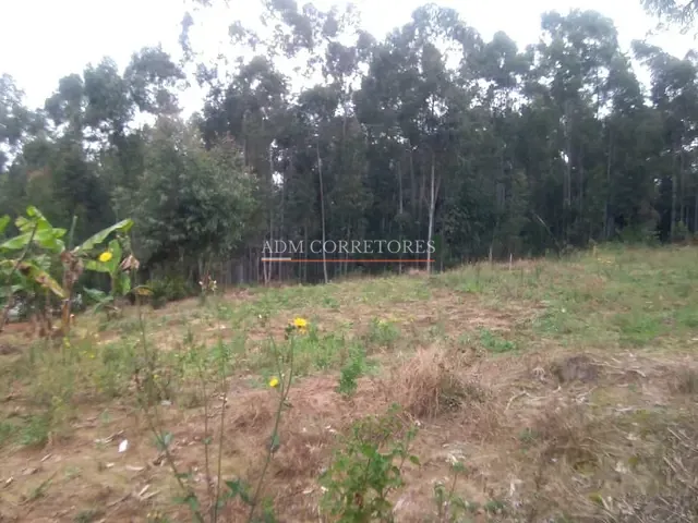 Sítio com 5000m² 2 quartos e 1 banheiro, à venda, no bairro taquara em Entrepelado