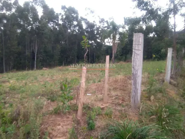 Sítio com 5000m² 2 quartos e 1 banheiro, à venda, no bairro taquara em Entrepelado