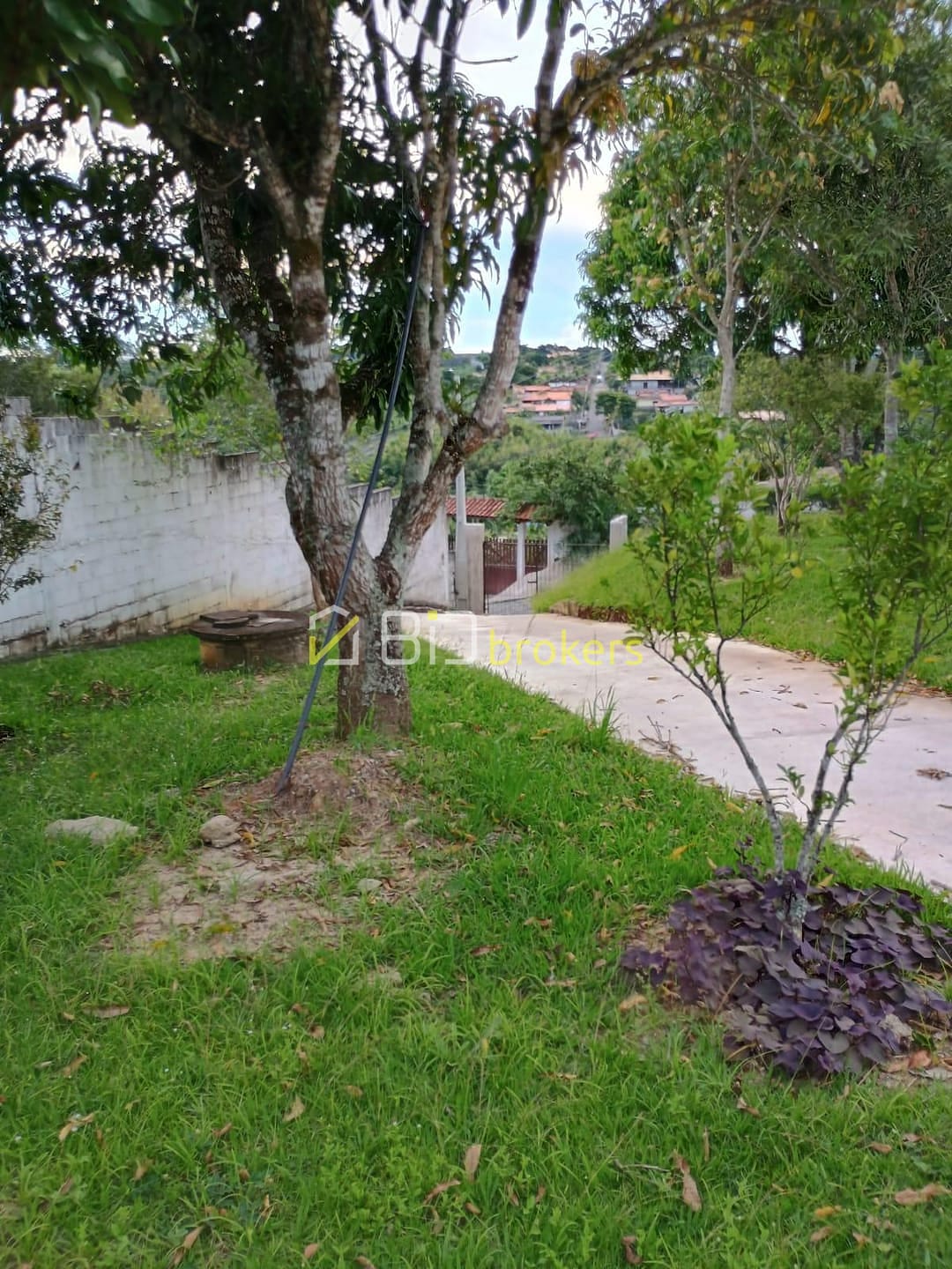 Sítio à venda com 6 quartos, 2441m² - Foto 97