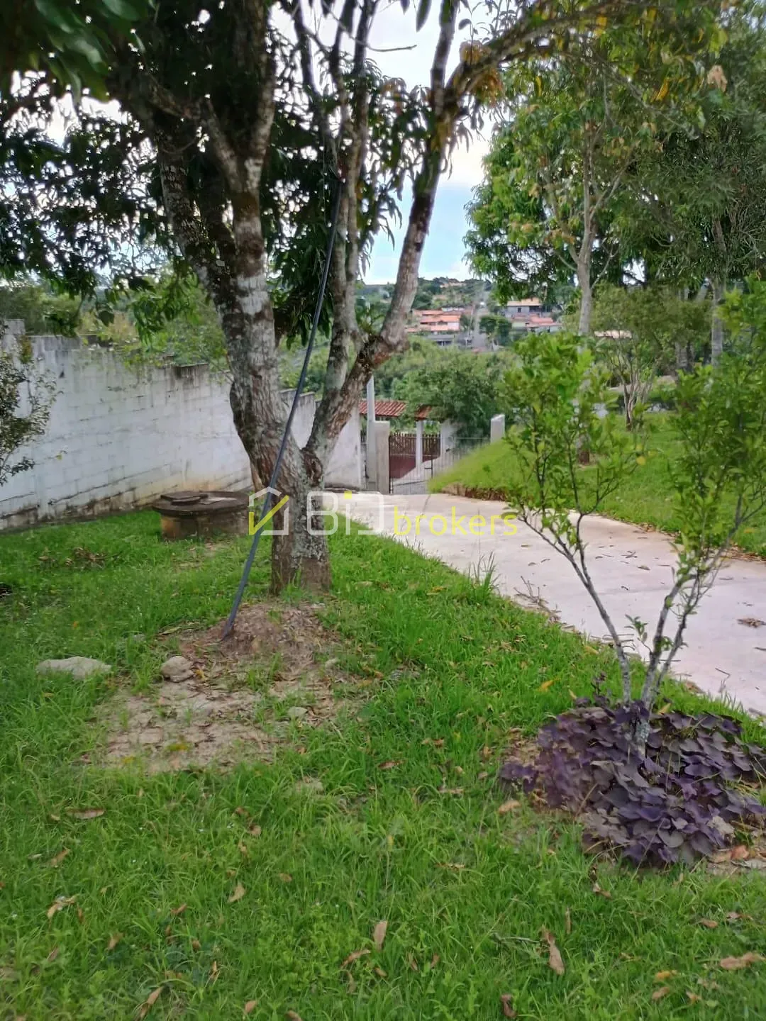 Sítio, 6 quartos, 3718 m² - Foto 95
