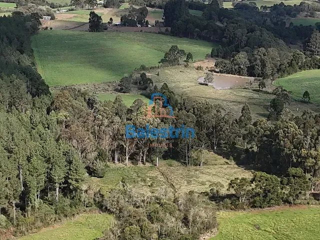 Sítio à venda, no bairro Interior em Fraiburgo