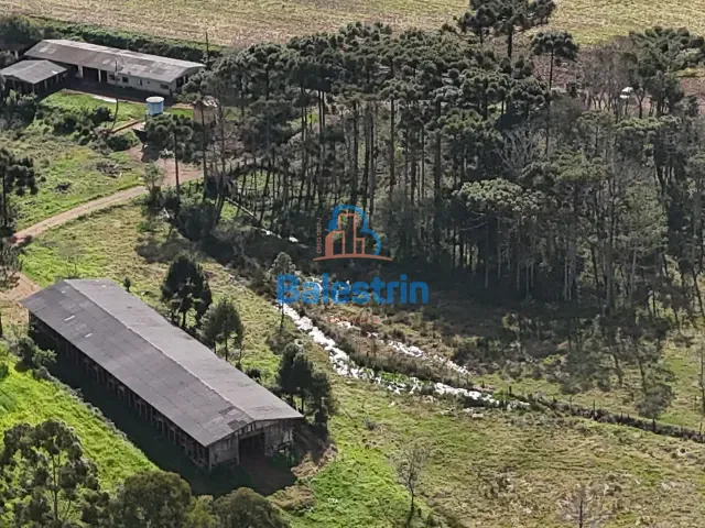 Sítio à venda, no bairro Interior em Fraiburgo