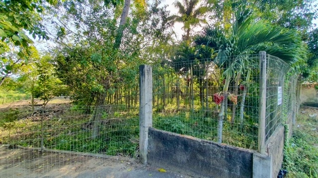 Sítio com 3000m² 2 quartos e 2 banheiros, à venda, no bairro Tapera em Campos dos Goytacazes