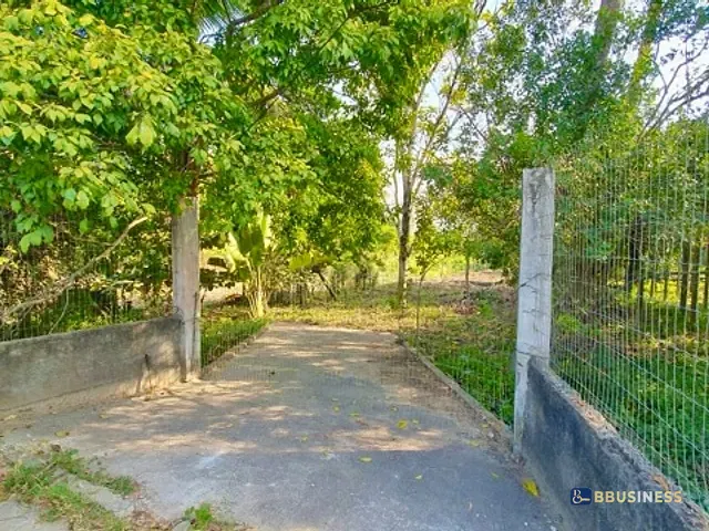 Sítio com 3000m² 2 quartos e 2 banheiros, à venda, no bairro Tapera em Campos dos Goytacazes