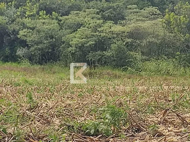 Sítio com 20000m², à venda, no bairro Centro em Monte Mor