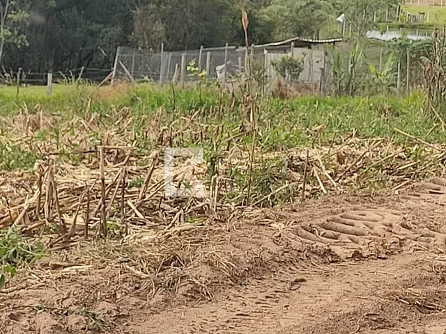 Sítio com 20000m², à venda, no bairro Centro em Monte Mor